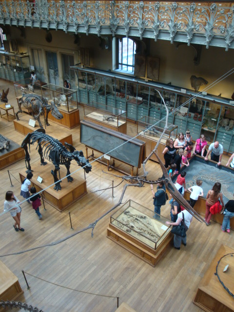 Galerie de paléontologie et d'anatomie comparée - 56